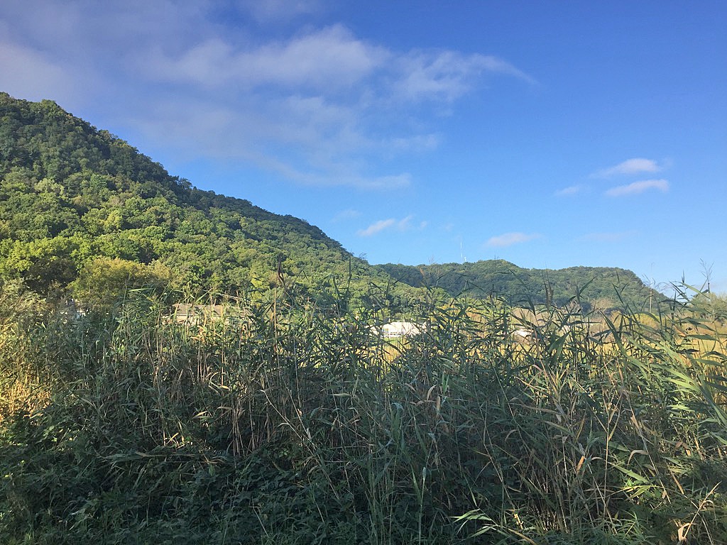 Bluffs_