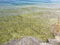 Cave Point Rock Ridge
