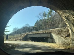Fishermans Bridge