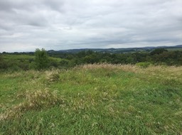 Hillsboro View_