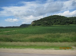 IMG_1459