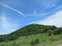 IMG_1668