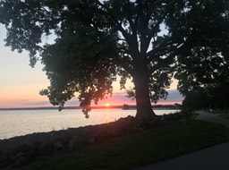 IMG_6396