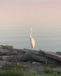 IMG_6792