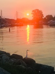 IMG_6910