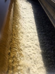 Kekoskee Dam