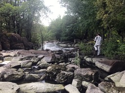 Kev Big Falls