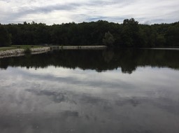 Mill Pond