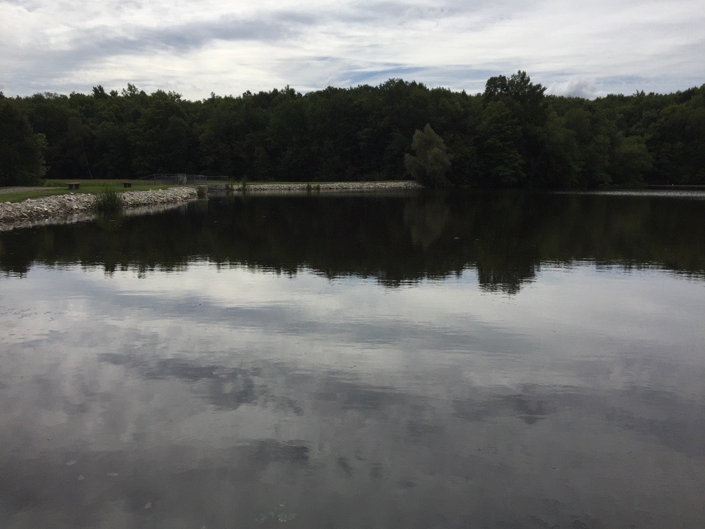 Mill Pond