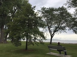 Moms Tree & Bench