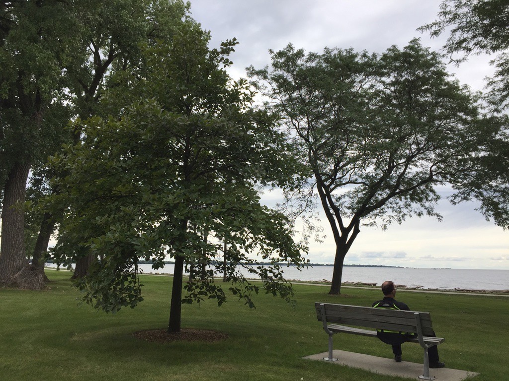 Moms Tree & Bench