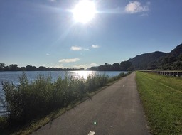 Morning Bluffs