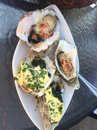Oysters