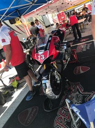 Pegram Duc
