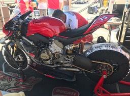 Pegram Ducati