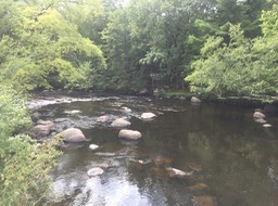 Pine River