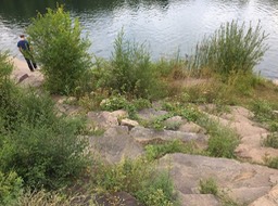 Red Granite_