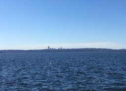 Seattle Skyline