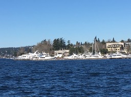 Shoreline